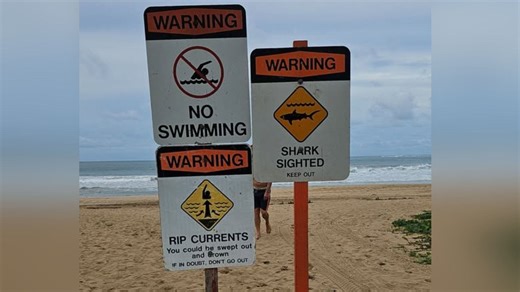 Hanalei Bay closed to swimming after surfer bitten by shark