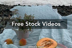 Moyra+Melons Videos, Download The BEST Free 4k Stock Video Footage & Moyra+Melons HD Video Clips