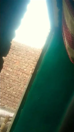 #viral #funny #smartphone