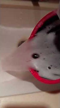 You've Been Using Photoflow the WRONG way! #filmphotography