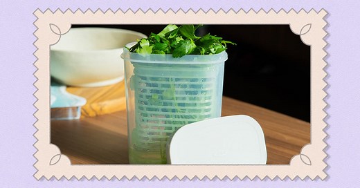 This Herb Keeper Keeps My Greens Vibrant and Perky for Weeks