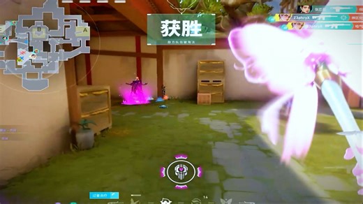 宇宙最强玻璃垫WALLHACK赐予我神奇的瞄准确认感