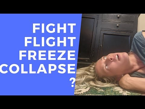 Fight, Flight, Freeze, and Collapse The COLLAPSE trauma response explained!