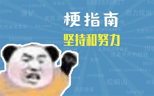 坚持和努力是什么梗【梗指南】