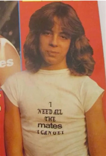 Understanding Metaphors in Rumble Fish