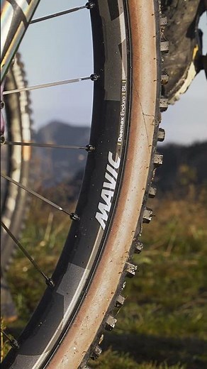 Mavic Deemax Enduro SL wheelset