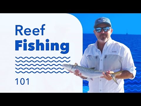 Reef Fishing 101: Learn From A Charter Captain How To Fish Reefs | Boatsetter