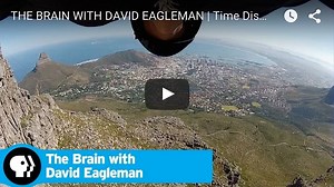182 reactions · 170 shares | THE BRAIN airs next week! Get a sneak peek with this clip about our perception of time.... #BrainPBS | David Eagleman | Facebook