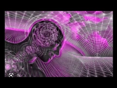 Brain exploring why prediction is prediction