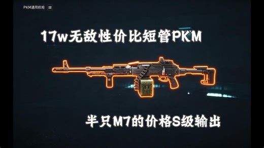（17w）史上最便宜的S级武器PKM！！！