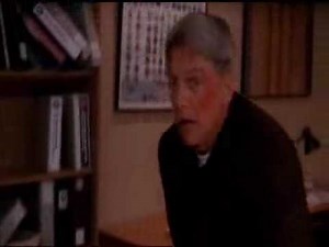 NCIS Gibbs Fight