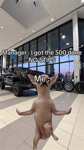 Mastering the Art of Car Sales Negotiation