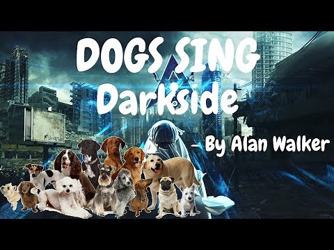 Dogs Sing Darkside by Alan Walker feat. Tomine Malmquist Harket & Au/Ra | Dogs Singing Song Series