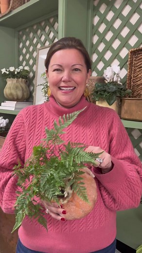 Carmen Johnston on TikTok