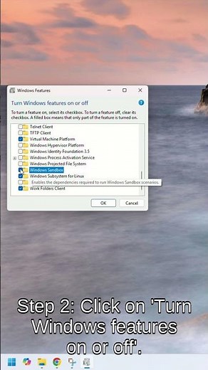 Enable Windows SandBox