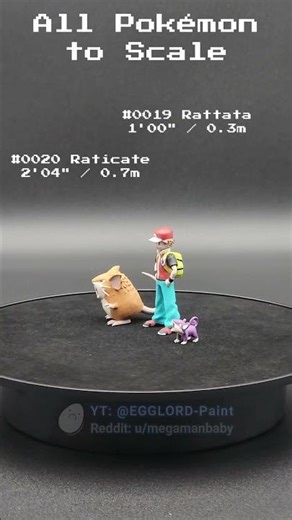 All Pokémon to Scale #0019 - #0020 (Rattata, Raticate)