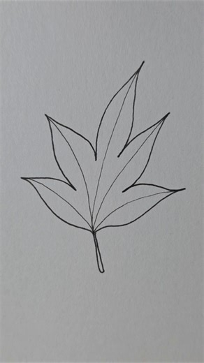 maple leaf drawing #leaf #maple #howtodraw #easysketch #illustration #minidrawing