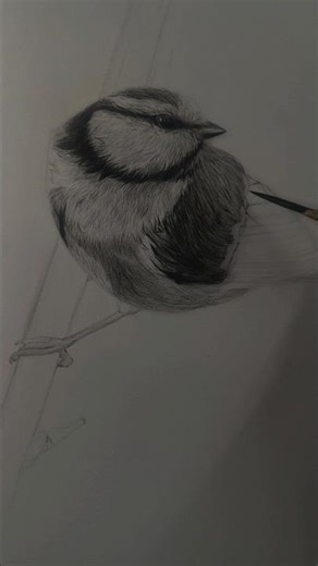 how to draw hyper realistic art #artwithsukhjeet #art #drawing #shorts
