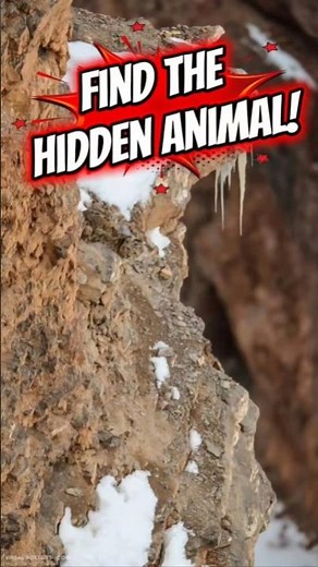 Cool Animals with CRAZY Camouflage! 🔥
