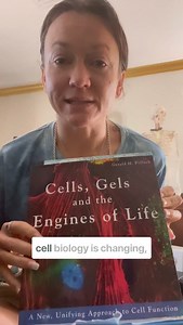 13K views · 1.7K reactions | Comment REVOLUTION to become a teacher...