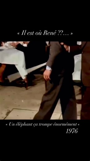 Stef | Un éléphant ça trompe énormément est un film français réalisé par Yves Robert, sorti en 1976. « Un éléphant ça trompe énormément ». «... | Instagram