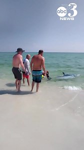 14 reactions | Penascola Beach, FL beachgoers come to the aid of a...