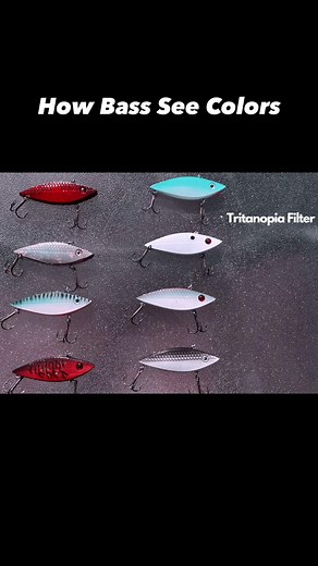 Understanding Tritanopia: How Vision Impacts Fishing Lures Colors
