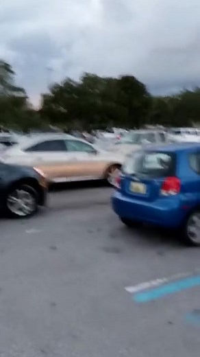 Only at Walmart!!! 👀♥️🦃 #@kennyswildadventures2762 #beautiful #walmart | Kenneth Hill