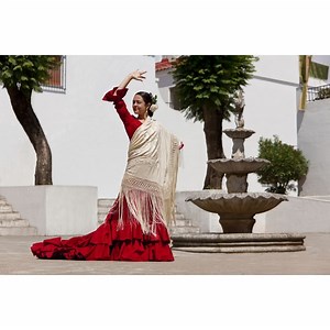 How to Make a Fancy Dance Shawl | Synonym