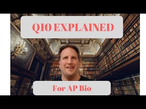 Q10 Coefficient Explained