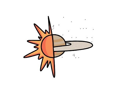 The life cycle of Brown Dwarfs