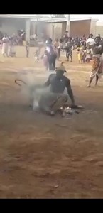 notre culture, notre identité 🥰 La danse n'goran, une danse Sénoufo de la Bagoué, Nord de la côte d'ivoire.🌍 Avec certainement un maître du feu a la manœuvre 🔥 Traditionaliste Sénoufo ❤️❤️ | Traditionaliste Sénoufo