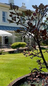 Sunshine or rain we have you covered this summer at Simpsons. Our beautiful dining room is lined with glass doors overlooking the garden for a light and bright meal in the warmth of indoors on cooler wet days. On warm, dry days, we open our terrace with tables for guests who choose to enjoy their meal or a pre or post-dinner drink al fresco. Find out latest menus online for our exceptional value lunch and dinner, plant based, Sunday lunch and full tasting menus. We can’t wait to welcome you this