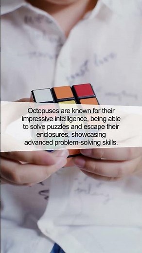 The Fascinating World of Octopus Intelligence Revealed!