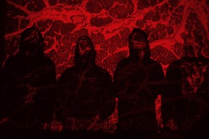 CEREBRAL ROT: si sciolgono, nascono i CORPUS OFFAL