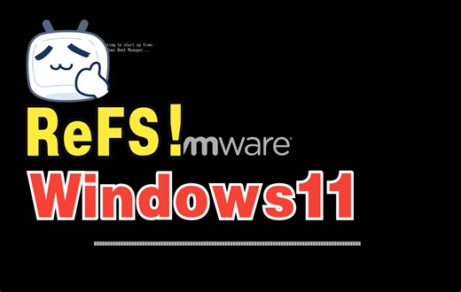 在ReFS上运行Windows 11