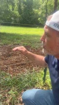 How to keep in goats using electric fence #farming #farmlife #livestock #goats high tensile wire