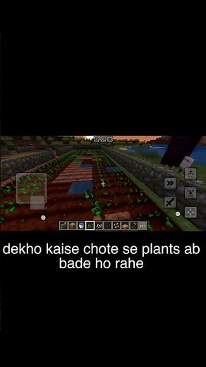 Minecraft Survival Basic Crop Farm 🌾 | Easy Wheat, Carrot & Potato Farm | #minecraft