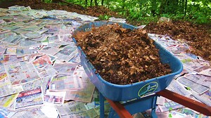9 reasons to think twice before using newspaper as garden mulch