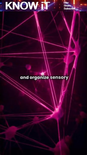 Is Reality Created by the Brain?