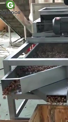 🌰 CRACKING 99% SUCCESS RATE! Whole Kernels, No Mess 🌰 Almond Shelling Machine ✅ Gentle yet powerful - Keeps 99% kernels intact, minimal breakage ✅ High capacity - Process 50kg/hour with auto-separation system ✅ Smart cleaning - Built-in airflow removes dust & shell fragments ✅ Multi-nut compatible - Also works with pistachios & walnuts ✅ Game changer for: Nut processors, confectionery factories, healthy snack brands 🔥 Limited: First 10 orders get free maintenance kit! 👉 Follow for nut proces