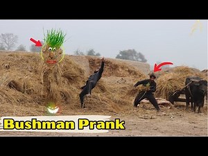 Best Of Crazy Fails BUSHMAN Prank Rewind 2022 @PendoBrandTv😁