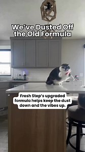Fresh Step’s upgraded formula helps keep the dust down and the vibes up ✨😻 | Fresh Step Litter