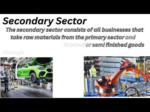 UNDERSTANDING BUSINESS ACTIVITES