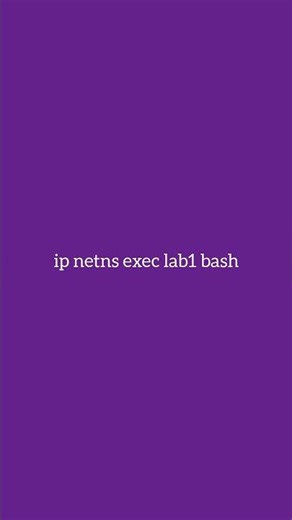 Advanced Linux Command Day 52 | ip netns exec. #linux #linuxcommands #sysadmin #networknamespace