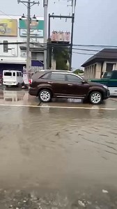 BAKSAN GIGANAHAN UG SWIMMING SA BAHA Usa ka reticulated python kon 'baksan' nga nag-swimming-swimming sa baha sa Tagbilaran City sa Bohol. Video Courtesy: Shaina Autentico #follow 105.5 Brigada News FM Agusan #bnfmtrento #BrigadaPH #InTheHeartOfChangingLives | 105.5 Brigada News FM Agusan