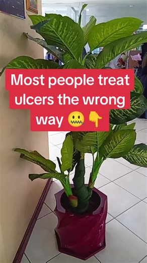 Drinking milk, taking painkillers, or ignoring symptoms does NOT heal ulcers. Ulcers need proper testing and treatment. Untreated ulcers can cause internal bleeding, weakness,cancer and severe pain. Awareness saves lives. #healthawareness #ulcerawareness #kenyantiktok🇰🇪 #solutions #fyp