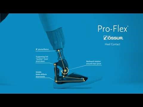 Pro-Flex Technology by Össur