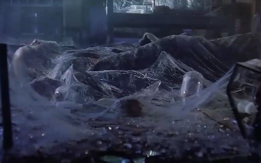 变异蜘蛛偷袭小镇，人类被裹成了“木乃伊”，进了盘丝洞