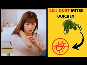 How To Get Rid Of Dust Mites Quickly? Amazing Proven Methods